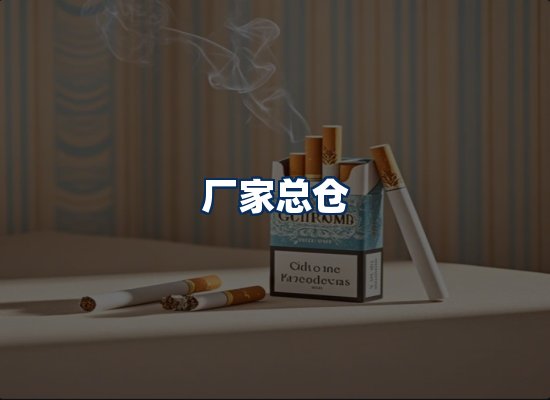 专业团队办公环境